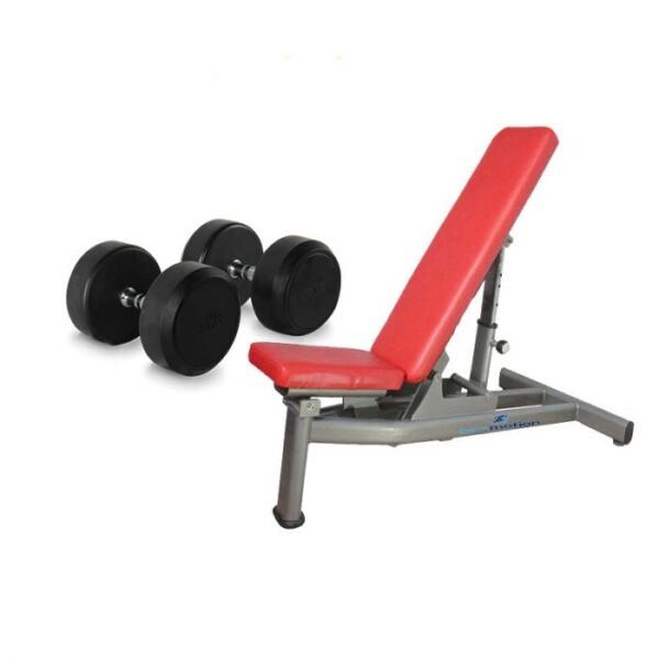 Gainmotion 2 in 1 Combo (Dumbbells Set + Bench) Price in Doha Qatar